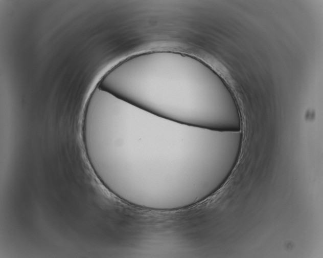 X0000097750912200803281607