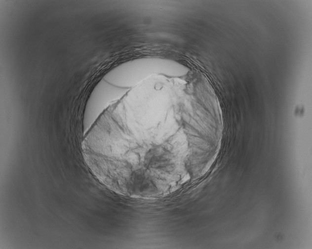 X0000097750913200803281606