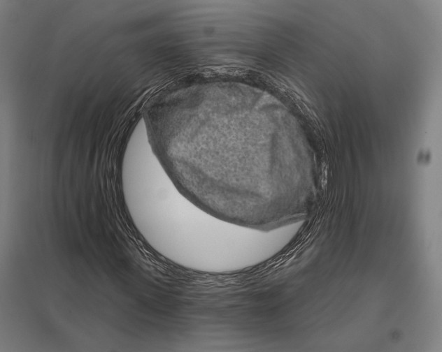 X0000097750915200803281606