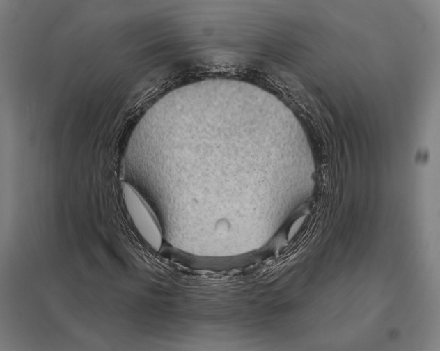 X0000097750916200803281606