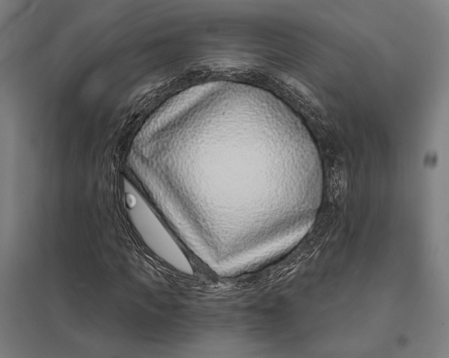 X0000097750917200803281606