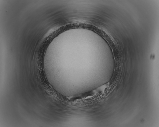 X0000097750919200803281606