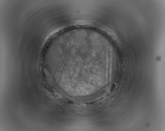 X0000097750920200803281606