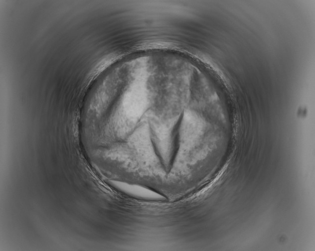 X0000097750921200803281606