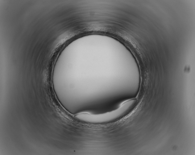 X0000097750922200803281606