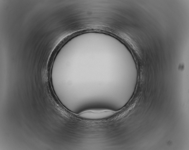 X0000097750924200803281606