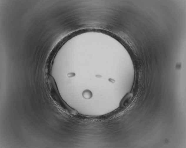 X0000097750926200803281606