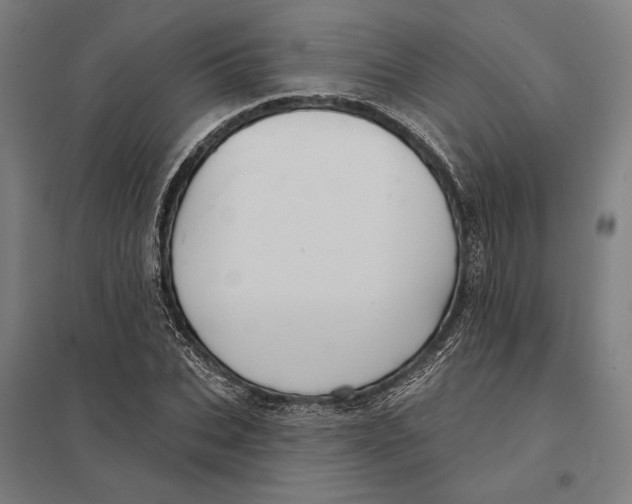 X0000097750927200803281606