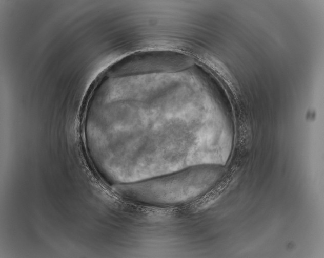 X0000097750928200803281606