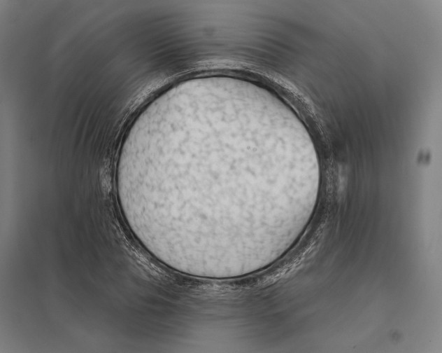 X0000097750929200803281606