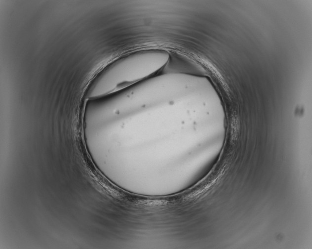 X0000097750930200803281606