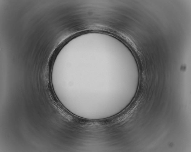 X0000097750931200803281606