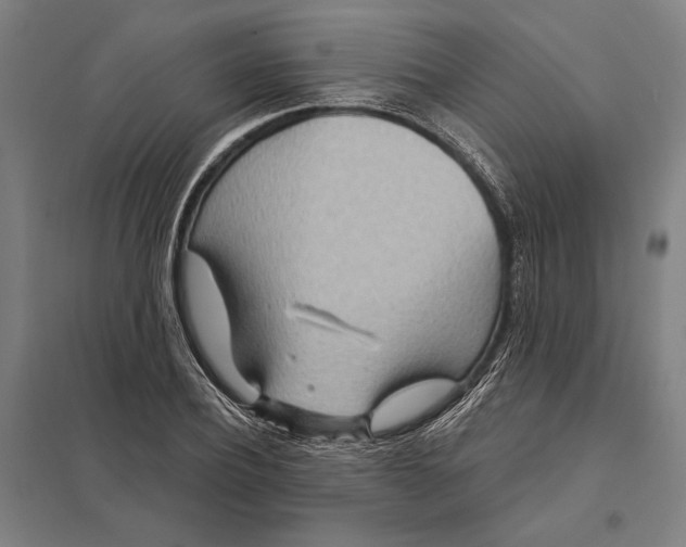 X0000097750932200803281606