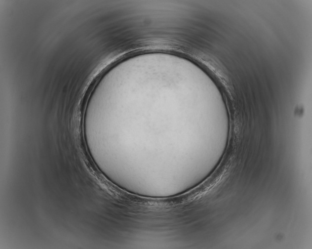 X0000097750933200803281606