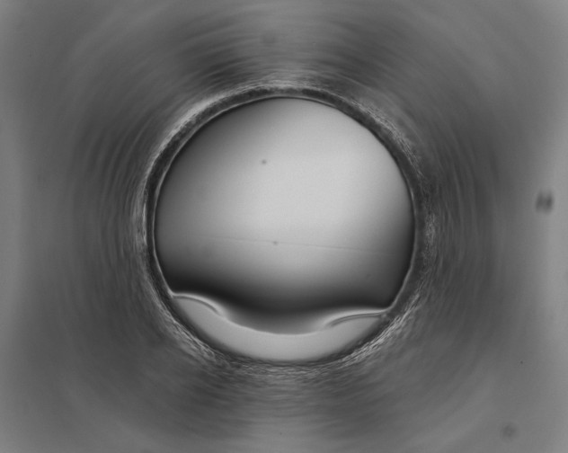 X0000097750934200803281606