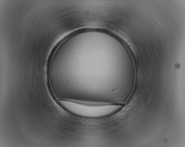 X0000097750935200803281606