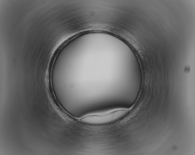 X0000097750936200803281606