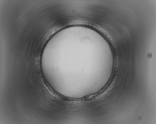 X0000097750937200803281606