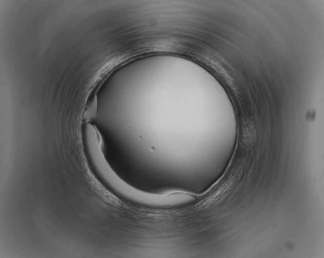 X0000097750938200803281606