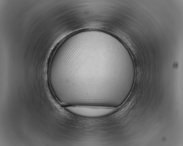 X0000097750939200803281606