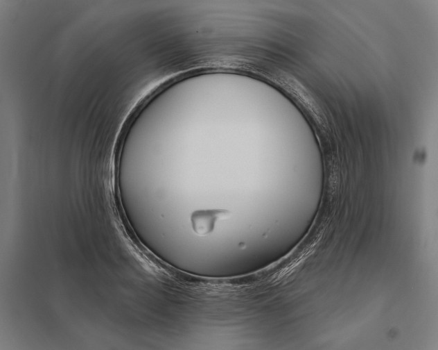 X0000097750940200803281606