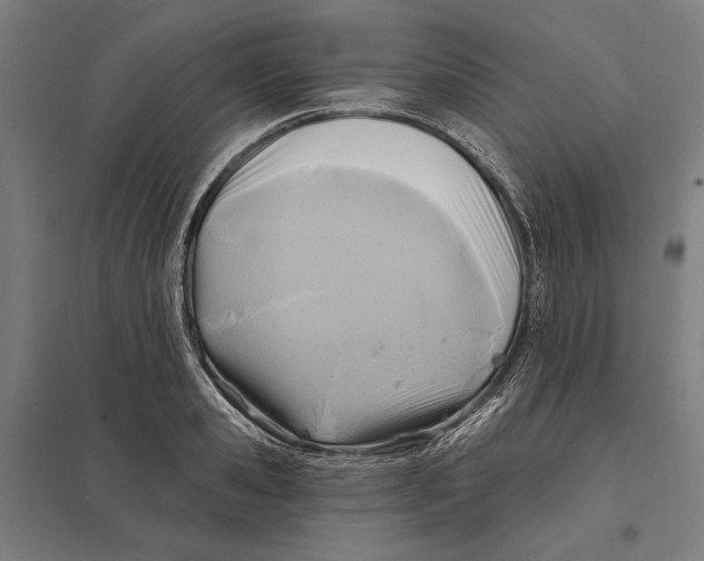 X0000097750941200803281606