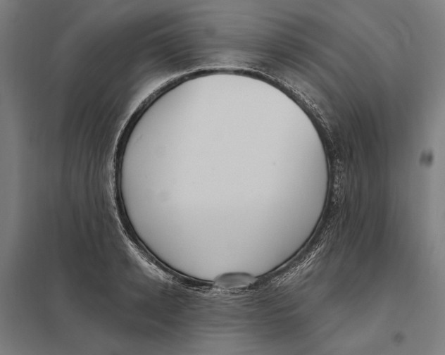 X0000097750942200803281606