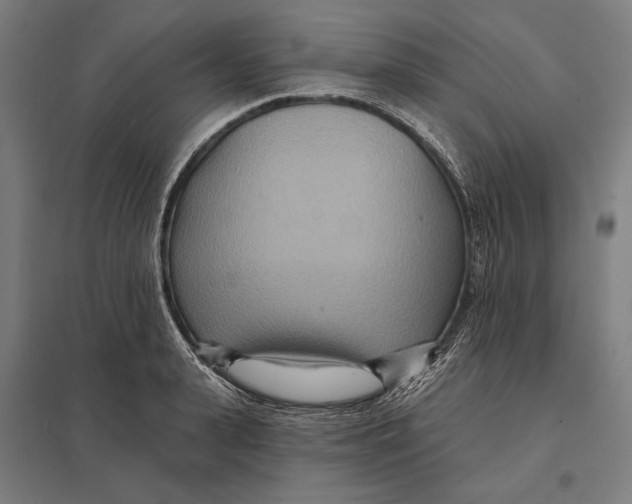 X0000097750943200803281606