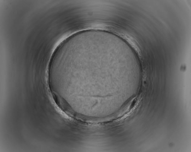 X0000097750944200803281606