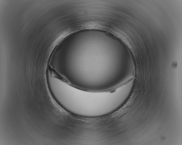 X0000097750946200803281606