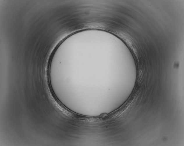 X0000097750947200803281607