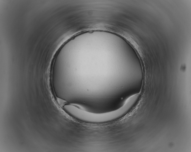 X0000097750949200803281607