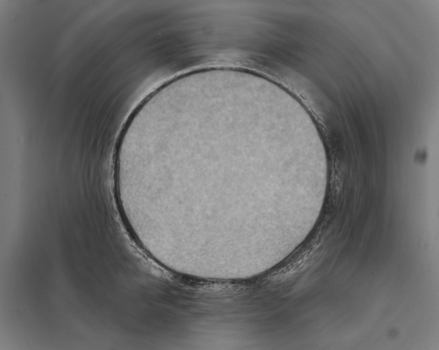 X0000097750950200803281607