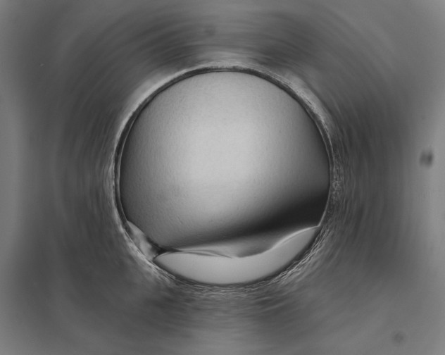 X0000097750951200803281607