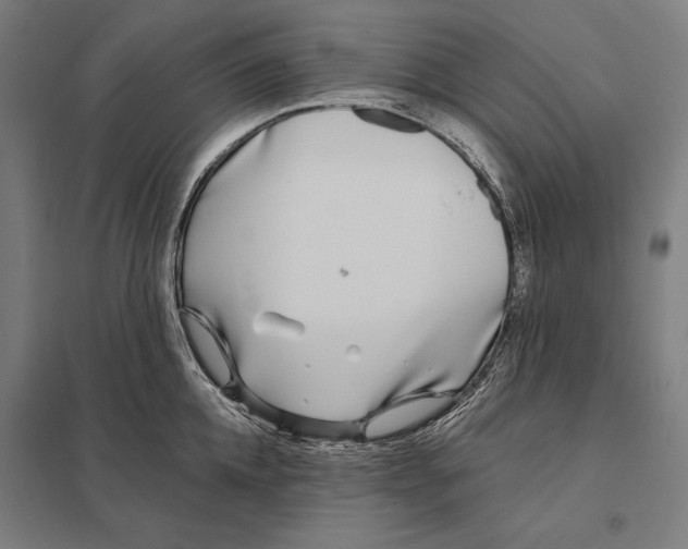 X0000097750952200803281607