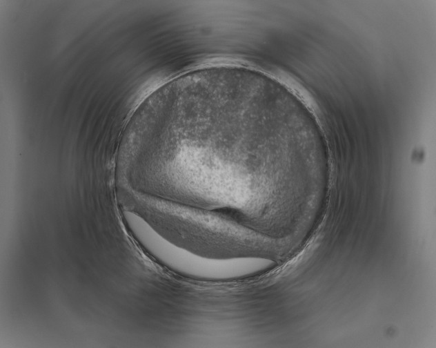 X0000097750953200803281607