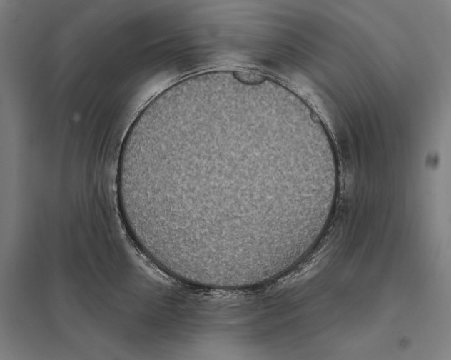 X0000097750954200803281607