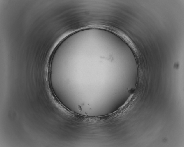 X0000097750955200803281607