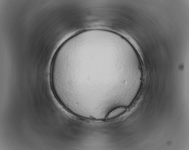 X0000097750957200803281607