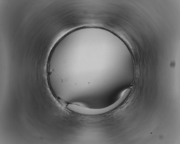 X0000097750959200803281607