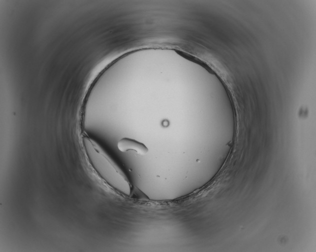 X0000097750960200803281607