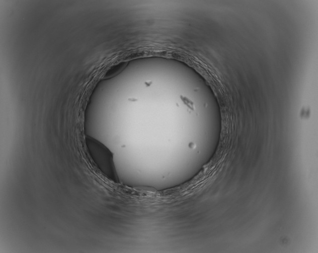 X0000097750961200803281606