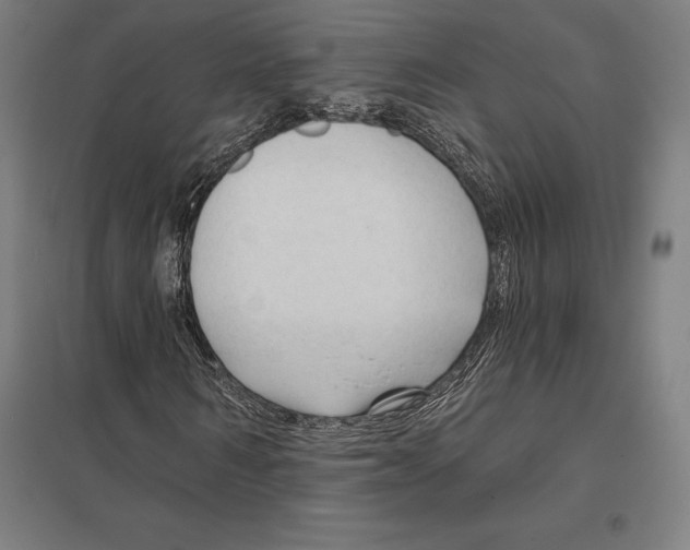 X0000097750962200803281606