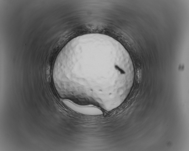 X0000097750963200803281606