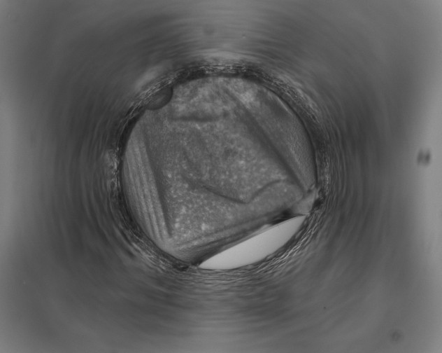 X0000097750964200803281606