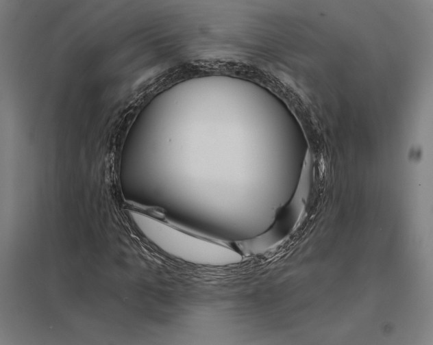 X0000097750965200803281606