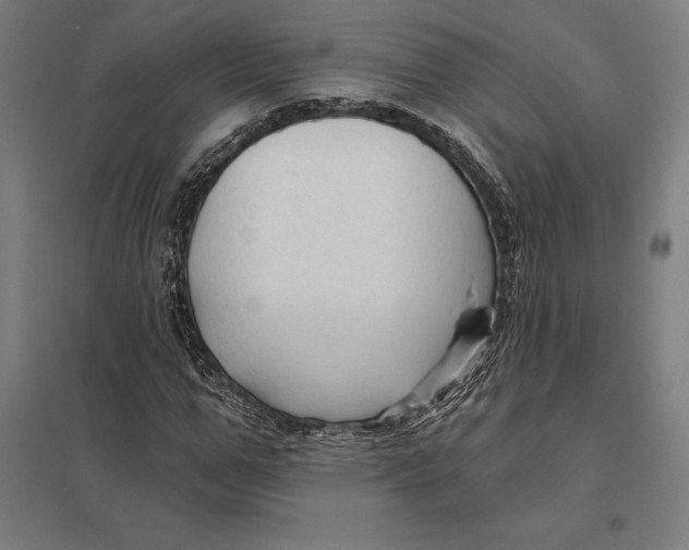 X0000097750967200803281606