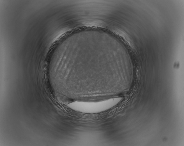 X0000097750968200803281606