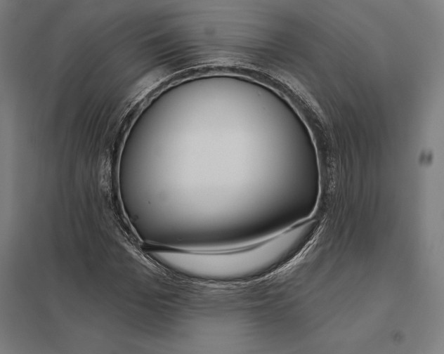 X0000097750969200803281606