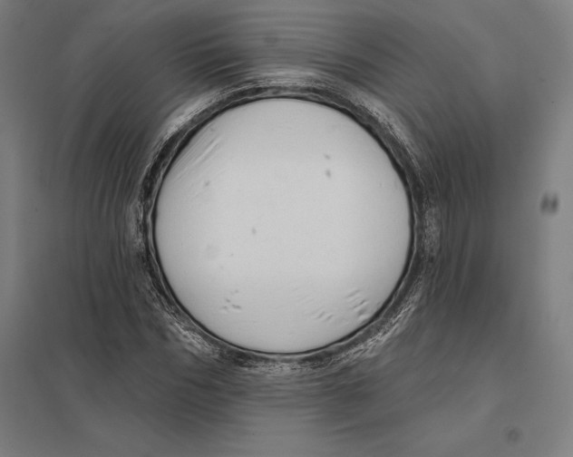 X0000097750970200803281606